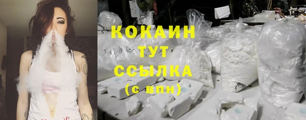 мдпв Новозыбков