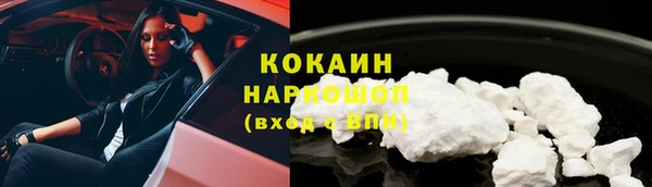 мдпв Новозыбков