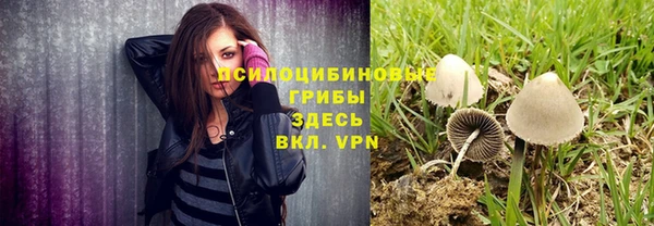 ALPHA-PVP Нязепетровск