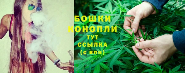 прущая мука Няндома