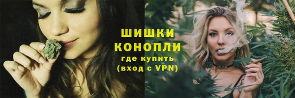 мдпв Новозыбков