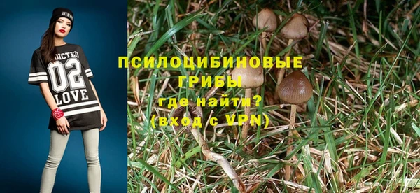 прущая мука Няндома