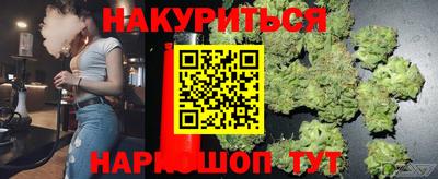 гашик Будённовск