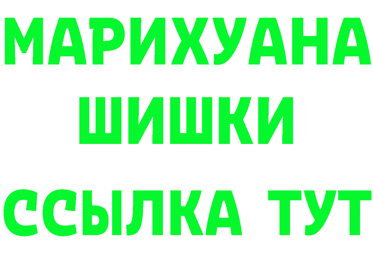 Альфа ПВП СК как зайти это MEGA Новоалександровск