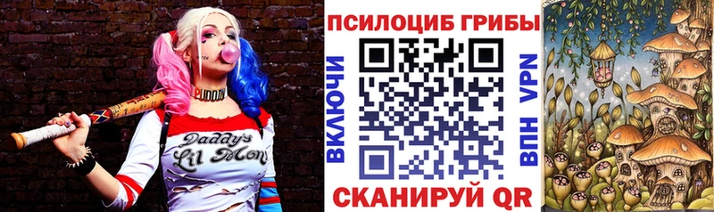 блэк спрут   Новоалександровск  Галлюциногенные грибы ЛСД  купить наркотики цена 