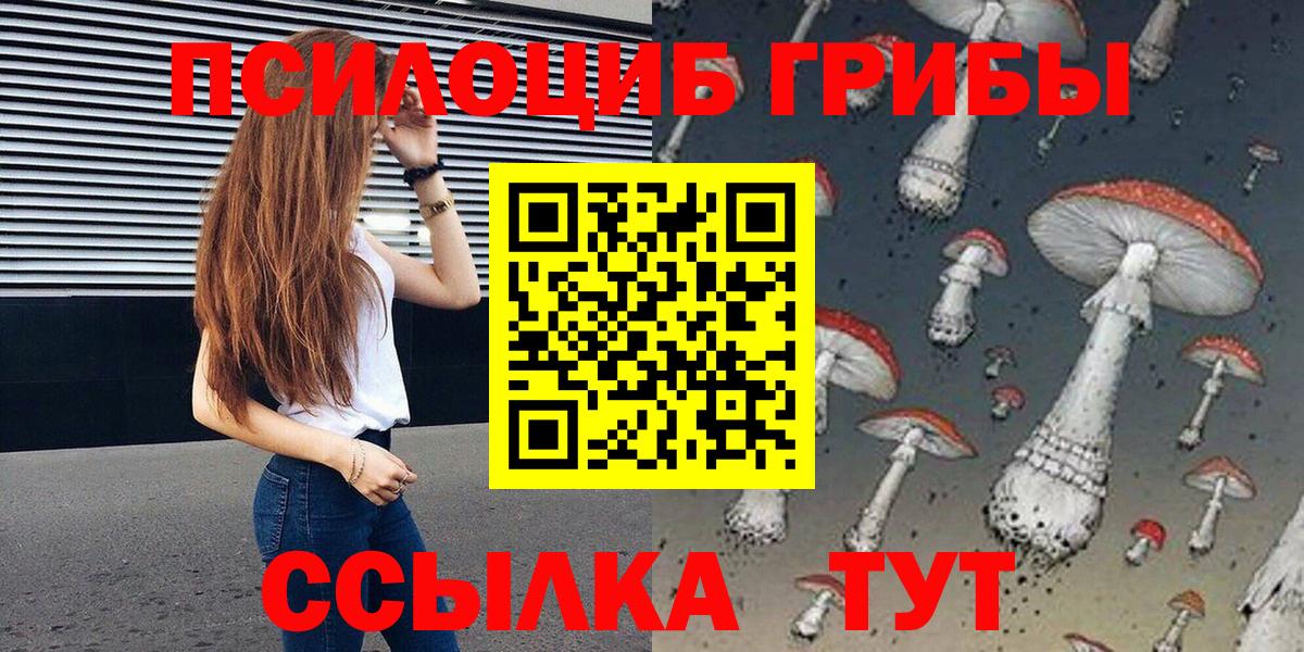 Галлюциногенные грибы Cubensis Новоалександровск