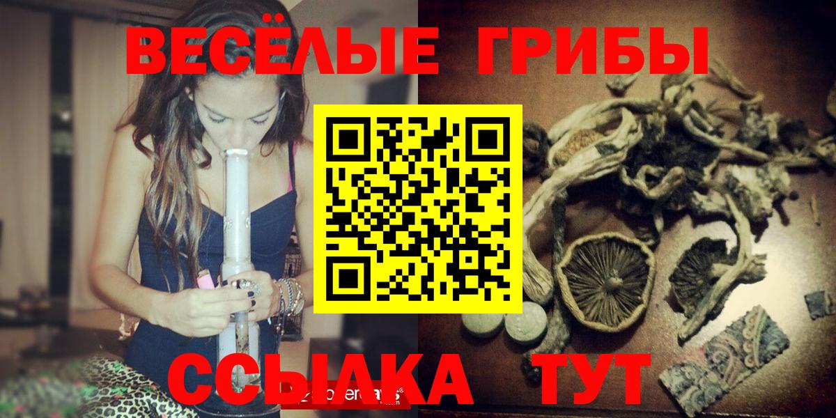Новоалександровск  закладка  Вход с VPN  Галлюциногенные грибы Psilocybine cubensis 