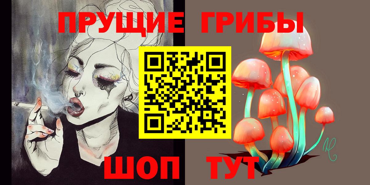 Псилоцибиновые грибы Psilocybine cubensis  Новоалександровск 